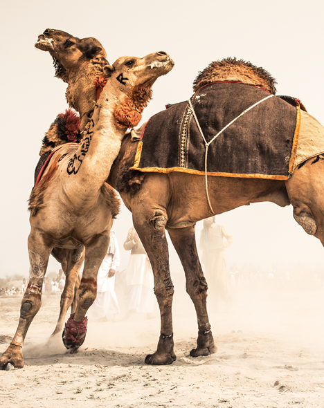 Middle East: old hostilities will persist – Astroinform with Marjorie Orr Middle East: old hostilities will persist – Astroinform with Marjorie Orr